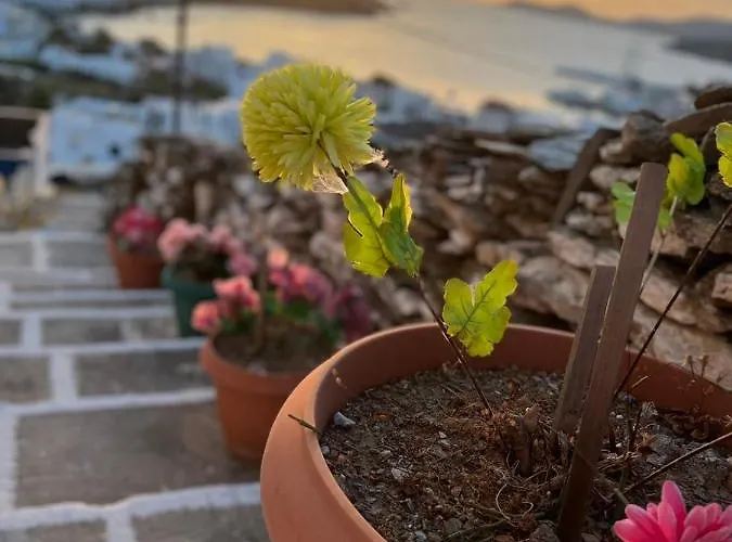 Christina 2 Μέριχας